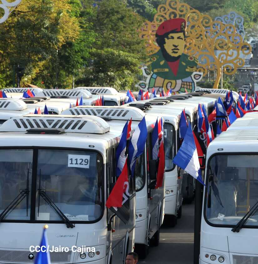 BUSES